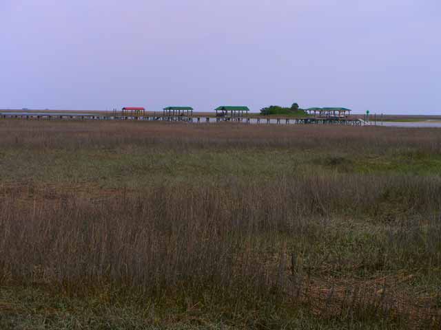 2008-04-13_South_Carolina_marsh