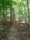 2008-08-31_Appalachian_Trail
